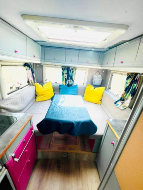 Anetka's CAMPER